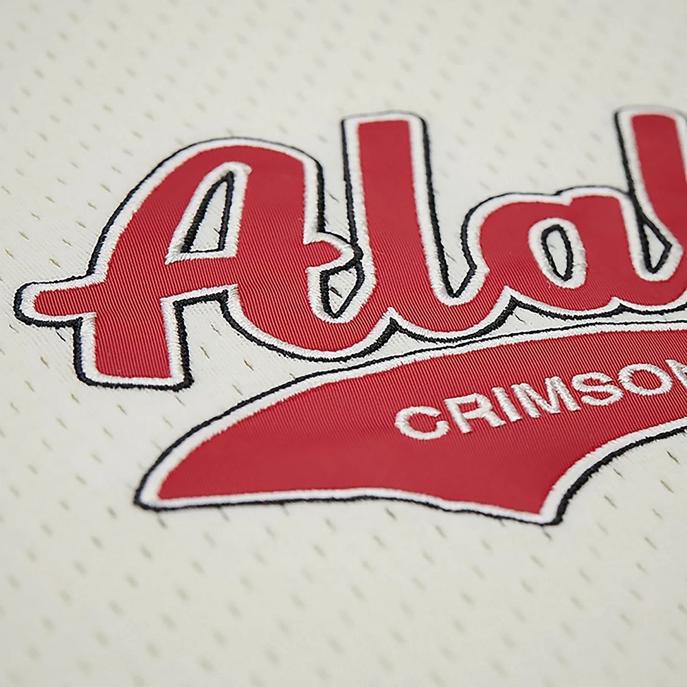 Mitchell & Ness Men's Medium Alabama Crimson Tide Vintage Logo Baseball Jersey - Picture 3 of 7
